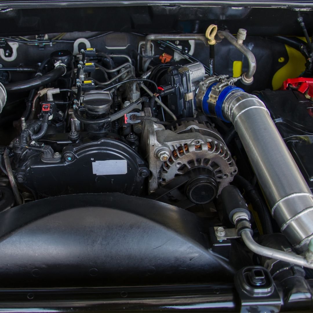 Rat Repellent Treatment